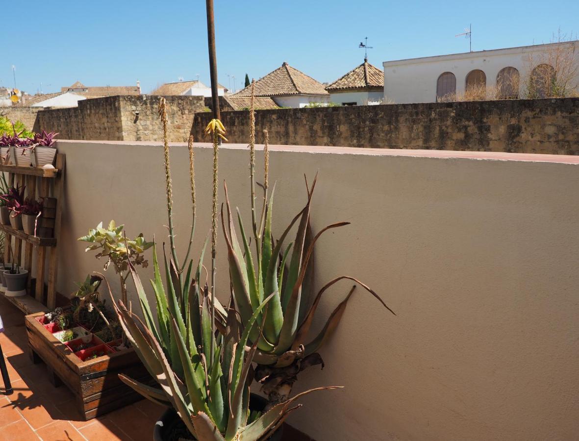 Apartamento En Juderia La Murallita コルドバ エクステリア 写真